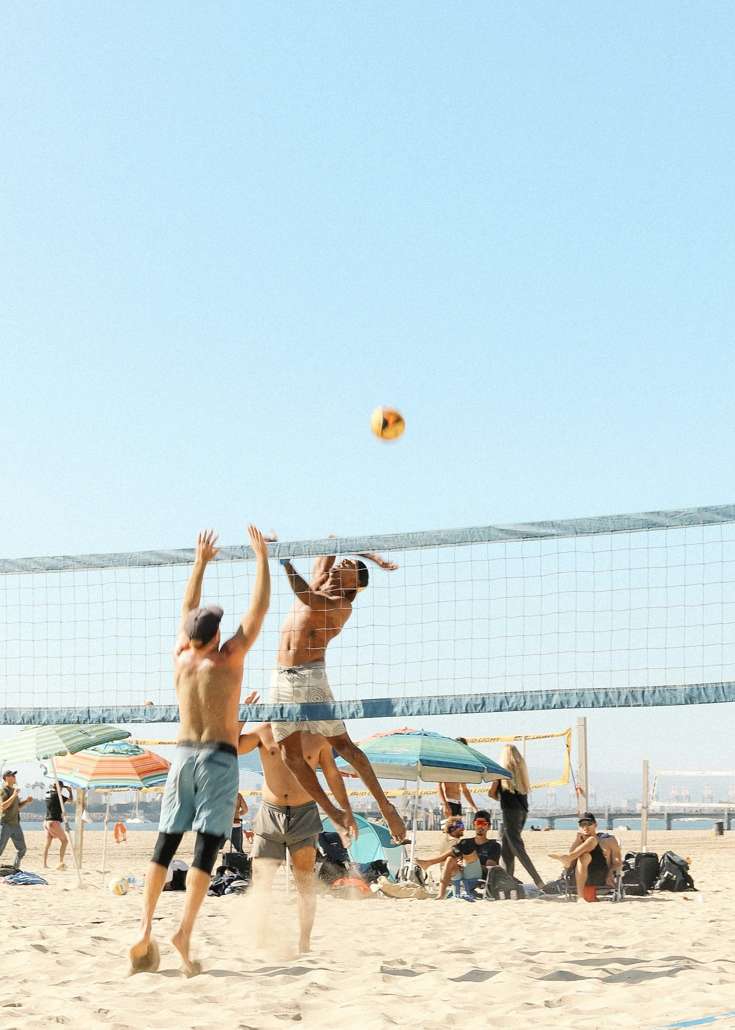 Conoce la ubicación y horarios del Club Panteras Volley